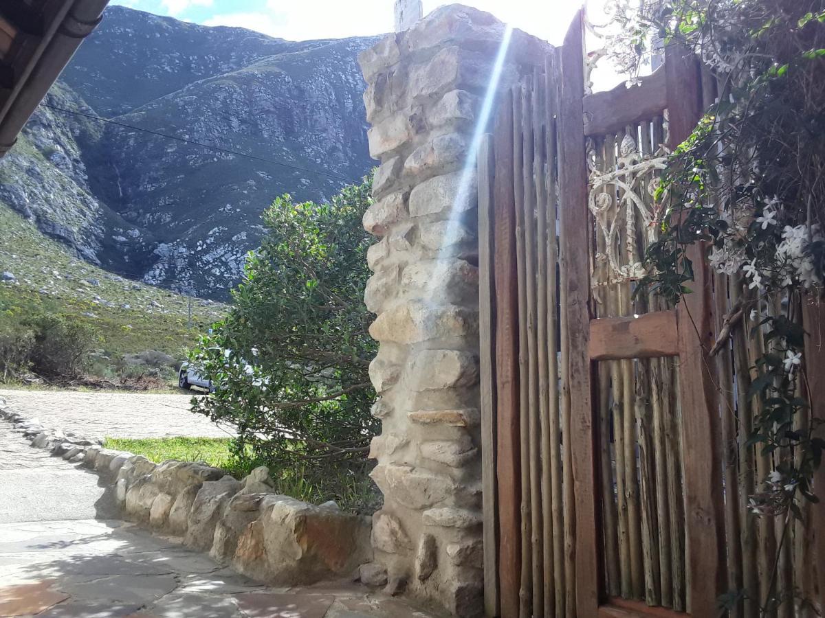 The Trailhouse Hotell Bettyʼs Bay Eksteriør bilde